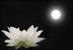 full moon may scorpio